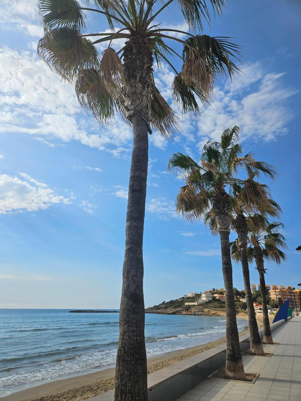 Mondrian Magic World - Sea View First Line Of The * Oropesa del Mar