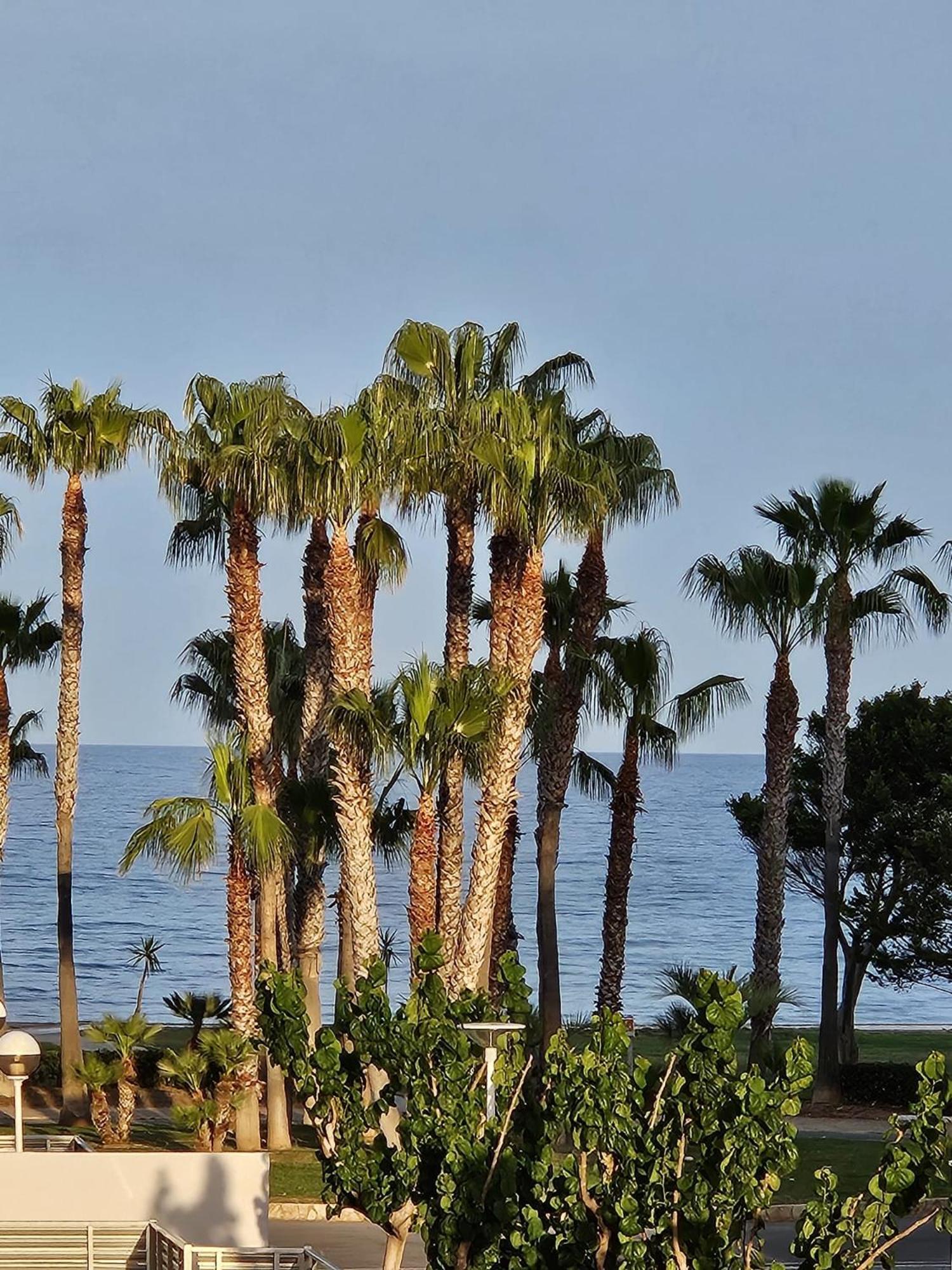 Mondrian Magic World - Sea View First Line Of The Apartment Oropesa del Mar